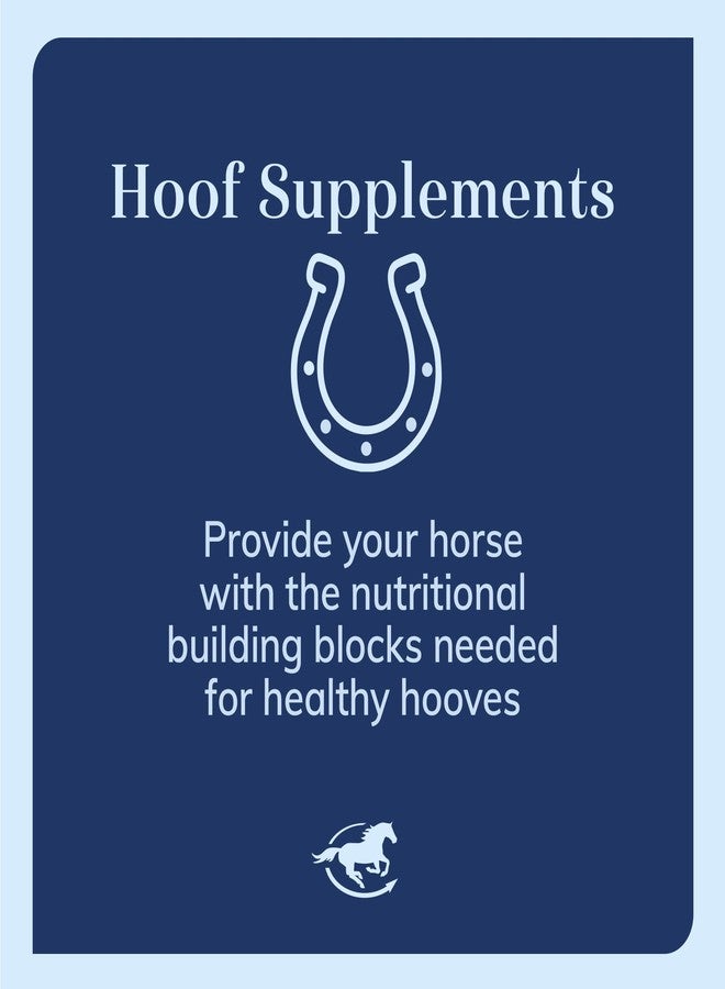 SmartEquine Horse Biotin Powder | Hoof Supplement for Horses | Biotin for Horses | Includes Zinc and Methionine | 18 oz Jar - Image 3